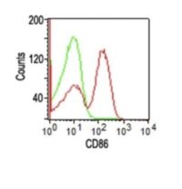 Flow Cytometry of human PBMCs using CD86 Monoclonal Antibody (BU63).