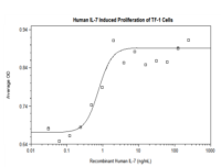 QP1180 IL7 / Interleukin 7