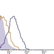 Flow Cytometry data demonstrating successful knockdown of ErbB3 / Her3 24 hours after treatment with QX20 siRNA (SC = Scrambled Control (Product Number QC1), siRNA = QX20 treatment)
