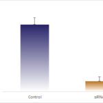 ELISA data demonstrating successful knockdown of TNF alpha 26 hours after treatment with QX22 siRNA (Control = Scrambled Control (Product Number QC1), siRNA = QX22 treatment)