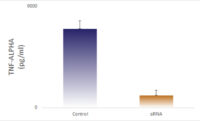 ELISA data demonstrating successful knockdown of TNF alpha 26 hours after treatment with QX22 siRNA (Control = Scrambled Control (Product Number QC1), siRNA = QX22 treatment)