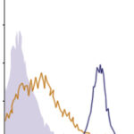 Flow Cytometry data demonstrating successful knockdown of ErbB3 / Her3 24 hours after treatment with QX49 siRNA (SC = Scrambled Control (Product Number QC1), siRNA = QX49 treatment)