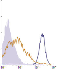 Flow Cytometry data demonstrating successful knockdown of ErbB3 / Her3 24 hours after treatment with QX49 siRNA (SC = Scrambled Control (Product Number QC1), siRNA = QX49 treatment)