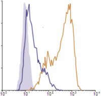 Flow Cytometry data demonstrating successful knockdown of PD-L1 / CD274 by QX7 at 48 hrs post 2nd transfection (Orange = QX7 siRNA, Blue-Violet = Negative Control siRNA (Product Number QC1), Light Purple = Isotype Control)