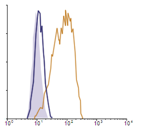Flow Cytometry data demonstrating successful knockdown of PD-L2 / CD273 by QX8 at 48 hrs post 2nd transfection (Orange = QX8 siRNA, Blue-Violet = Negative Control siRNA (Product Number QC1)