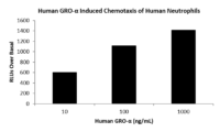 QP1008 CXCL1 / GRO-alpha