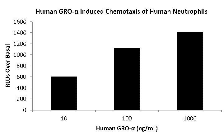 QP1008 CXCL1 / GRO-alpha