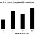 QP1011 IP-10 / CXCL10