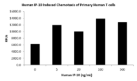 QP1011 IP-10 / CXCL10