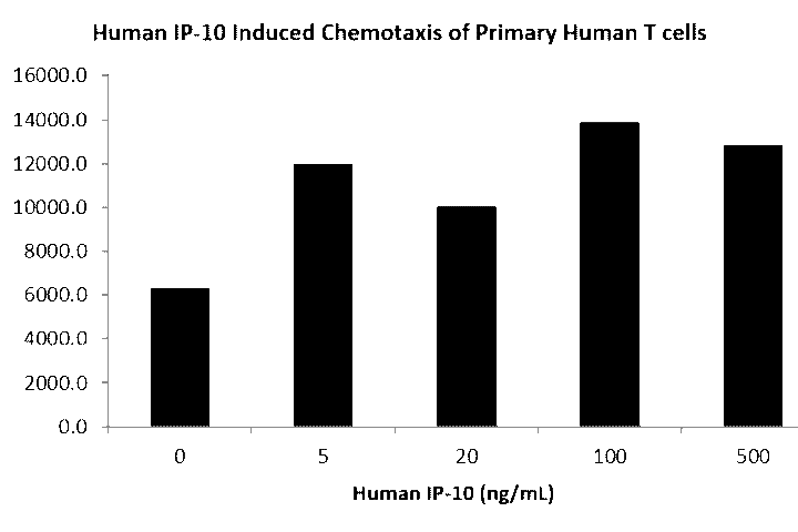 QP1011 IP-10 / CXCL10