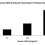 QP1016 CXCL2 / MIP-2