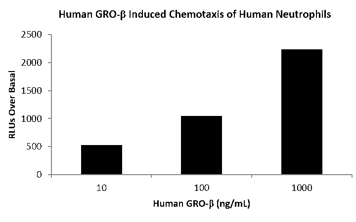 QP1016 CXCL2 / MIP-2