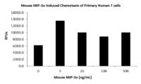 QP1448 CCL20 / MIP-3 alpha