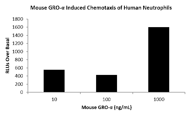 QP1455 CXCL1 / GRO-alpha