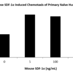 QP5454 CXCL12 / SDF-1