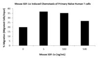 QP5454 CXCL12 / SDF-1