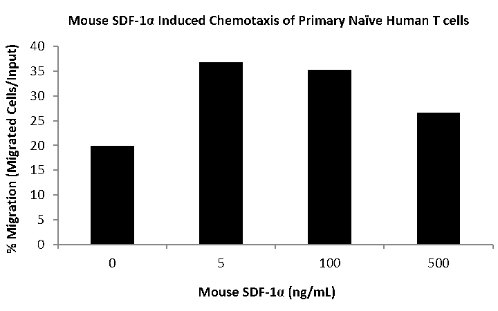 QP5454 CXCL12 / SDF-1