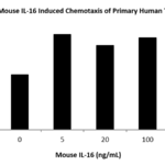 QP5456 IL16 / Interleukin-16