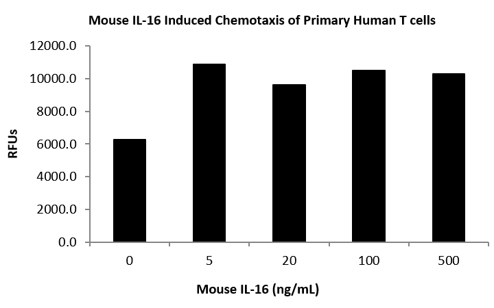 QP5456 IL16 / Interleukin-16