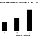 QP5471 MCP-2 / CCL8