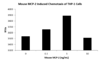 QP5471 MCP-2 / CCL8