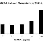 QP5509 CCL2 / MCP-1 / MCP1