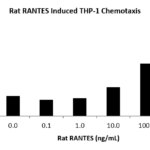 QP5513 CCL5 / RANTES