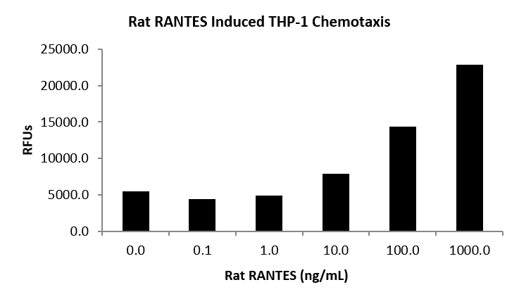 QP5513 CCL5 / RANTES