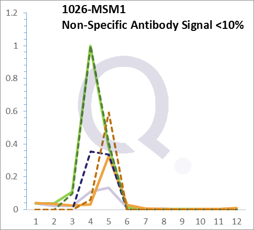 Analysis of Mass Spec data (dashed-line) of fractions stained with p21WAF1 MS-QAVA™ monoclonal antibody [Clone: WA-1] (solid-line), reveals that less than 10.9% of signal is attributable to non-specific binding of anti-p21WAF1 [Clone WA-1] to targets other than CDKN1A protein. Even frequently cited antibodies have much greater non-specific interactions, averaging over 30%. Data in image is from analysis in A431, RT4 and MCF7 cells.
