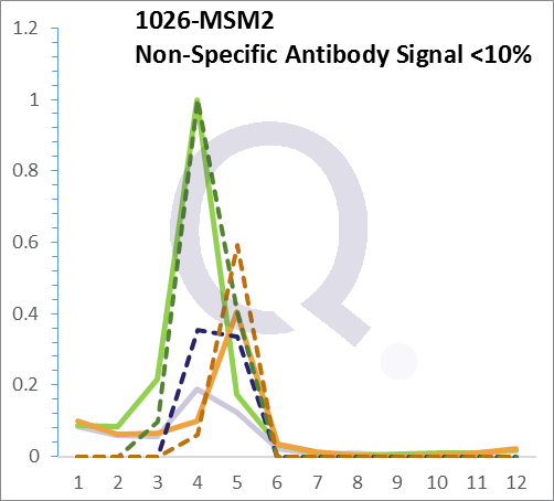 Analysis of Mass Spec data (dashed-line) of fractions stained with p21WAF1 MS-QAVA™ monoclonal antibody [Clone: DCS-60.2] (solid-line), reveals that less than 14% of signal is attributable to non-specific binding of anti-p21WAF1 [Clone DCS-60.2] to targets other than CDKN1A protein. Even frequently cited antibodies have much greater non-specific interactions, averaging over 30%. Data in image is from analysis in A431, RT4 and MCF7 cells.
