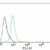 Flow Cytometry of human p27 on Jurkat Cells. Black: Cells alone; Grey: Isotype Control; Green: Alexa Fluor® 488-labeled p27 Monoclonal Antibody (KIP1/769).