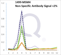 Analysis of Mass Spec data (dashed-line) of fractions stained with Catenin, beta MS-QAVA™ monoclonal antibody [Clone: 5H10] (solid-line), reveals that less than 1.8% of signal is attributable to non-specific binding of anti-Catenin, beta [Clone: 5H10] to targets other than CTNNB1 protein. Even frequently cited antibodies have much greater non-specific interactions, averaging over 30%. Data in image is from analysis in A431, RT4 and MCF7 cells.