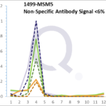 Analysis of Mass Spec data (dashed-line) of fractions stained with Catenin, beta MS-QAVA™ monoclonal antibody [Clone: 6F9] (solid-line), reveals that less than 5.2% of signal is attributable to non-specific binding of anti-Catenin, beta [Clone: 6F9] to targets other than CTNNB1 protein. Even frequently cited antibodies have much greater non-specific interactions, averaging over 30%. Data in image is from analysis in A431, RT4 and MCF7 cells.