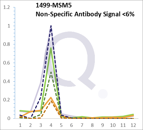 Analysis of Mass Spec data (dashed-line) of fractions stained with Catenin, beta MS-QAVA™ monoclonal antibody [Clone: 6F9] (solid-line), reveals that less than 5.2% of signal is attributable to non-specific binding of anti-Catenin, beta [Clone: 6F9] to targets other than CTNNB1 protein. Even frequently cited antibodies have much greater non-specific interactions, averaging over 30%. Data in image is from analysis in A431, RT4 and MCF7 cells.