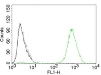 Flow Cytometry of EGFR on Mouse NIH/3T3 Cells. Black: Cells alone; Grey: Isotype Control; Green: AF488-labeled EGFR Monoclonal Antibody (GFR45).