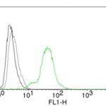 Flow Cytometry of human ER beta on BT474 Cells. Black: Cells alone; Grey: Isotype Control; Green: Alexa Fluor® 488-labeled ER beta Monoclonal Antibody (Erb455).