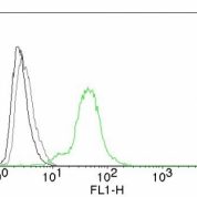 Flow Cytometry of human ER beta on BT474 Cells. Black: Cells alone; Grey: Isotype Control; Green: Alexa Fluor® 488-labeled ER beta Monoclonal Antibody (Erb455).