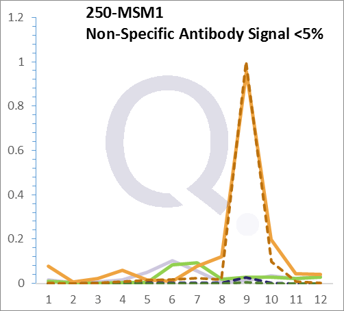 Analysis of Mass Spec data (dashed-line) of fractions stained with Alkaline Phosphatase / PLAP MS-QAVA™ monoclonal antibody [Clone: ALPP/870] (solid-line), reveals that less than 4.4% of signal is attributable to non-specific binding of anti-Alkaline Phosphatase / PLAP [Clone ALPP/870] to targets other than ALPP protein. Even frequently cited antibodies have much greater non-specific interactions, averaging over 30%. Data in image is from analysis in Jurkat, U202 and HeLa cells.