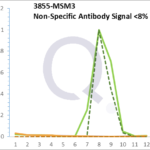 Analysis of Mass Spec data (dashed-line) of fractions stained with Cytokeratin 7 MS-QAVA™ monoclonal antibody [Clone: KRT7/903] (solid-line), reveals that less than 7.5% of signal is attributable to non-specific binding of anti-Cytokeratin 7 [Clone KRT7/903] to targets other than KRT7 protein. Even frequently cited antibodies have much greater non-specific interactions, averaging over 30%. Data in image is from analysis in A431, RT4 and MCF7 cells.