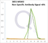 Analysis of Mass Spec data (dashed-line) of fractions stained with Cytokeratin 7 MS-QAVA™ monoclonal antibody [Clone: KRT7/903] (solid-line), reveals that less than 7.5% of signal is attributable to non-specific binding of anti-Cytokeratin 7 [Clone KRT7/903] to targets other than KRT7 protein. Even frequently cited antibodies have much greater non-specific interactions, averaging over 30%. Data in image is from analysis in A431, RT4 and MCF7 cells.