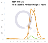 Analysis of Mass Spec data (dashed-line) of fractions stained with Cytokeratin 8 MS-QAVA™ monoclonal antibody [Clone: H1] (solid-line), reveals that less than 11.6% of signal is attributable to non-specific binding of anti-Cytokeratin 8 [Clone H1] to targets other than KRT8 protein. Even frequently cited antibodies have much greater non-specific interactions, averaging over 30%. Data in image is from analysis in Jurkat, U202 and HeLa cells.