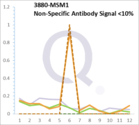 Analysis of Mass Spec data (dashed-line) of fractions stained with Cytokeratin 19 MS-QAVA™ monoclonal antibody [Clone: A53-B/A2.26] (solid-line), reveals that less than 11% of signal is attributable to non-specific binding of anti-Cytokeratin 19 [Clone A53-B/A2.26] to targets other than KRT19 protein. Even frequently cited antibodies have much greater non-specific interactions, averaging over 30%. Data in image is from analysis in Jurkat, U202 and HeLa cells.