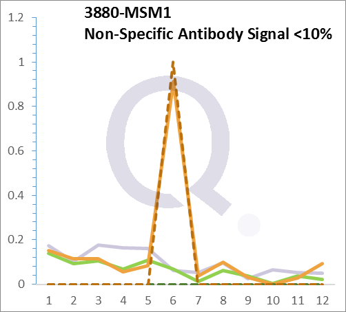 Analysis of Mass Spec data (dashed-line) of fractions stained with Cytokeratin 19 MS-QAVA™ monoclonal antibody [Clone: A53-B/A2.26] (solid-line), reveals that less than 11% of signal is attributable to non-specific binding of anti-Cytokeratin 19 [Clone A53-B/A2.26] to targets other than KRT19 protein. Even frequently cited antibodies have much greater non-specific interactions, averaging over 30%. Data in image is from analysis in Jurkat, U202 and HeLa cells.