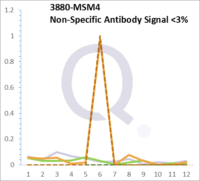 Analysis of Mass Spec data (dashed-line) of fractions stained with Cytokeratin 19 MS-QAVA™ monoclonal antibody [Clone: KRT19/799] (solid-line), reveals that less than 2.3% of signal is attributable to non-specific binding of anti-Cytokeratin 19 [Clone KRT19/799] to targets other than KRT19 protein. Even frequently cited antibodies have much greater non-specific interactions, averaging over 30%. Data in image is from analysis in Jurkat, U202 and HeLa cells.