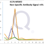 Analysis of Mass Spec data (dashed-line) of fractions stained with MCM7 MS-QAVA™ monoclonal antibody [Clone: MCM7/1468] (solid-line), reveals that less than 3.8% of signal is attributable to non-specific binding of anti-MCM7 [Clone: MCM7/1468] to targets other than MCM7 protein. Even frequently cited antibodies have much greater non-specific interactions, averaging over 30%. Data in image is from analysis in A431, RT4 and MCF7 cells.