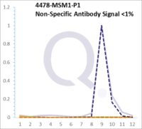 Analysis of Mass Spec data (dashed-line) of fractions stained with Moesin MS-QAVA™ monoclonal antibody [Clone: MSN/491] (solid-line), reveals that less than 0.8% of signal is attributable to non-specific binding of anti-Moesin [Clone: MSN/491] to targets other than MSN protein. Even frequently cited antibodies have much greater non-specific interactions, averaging over 30%. Data in image is from analysis in A431, RT4 and MCF7 cells.