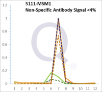 Analysis of Mass Spec data (dashed-line) of fractions stained with PCNA MS-QAVA™ monoclonal antibody [Clone: PC10] (solid-line), reveals that less than 3.7% of signal is attributable to non-specific binding of anti-PCNA [Clone PC10] to targets other than PCNA protein. Even frequently cited antibodies have much greater non-specific interactions, averaging over 30%. Data in image is from analysis in A431, RT4 and MCF7 cells.