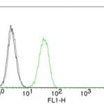 Flow Cytometry of human CD31 on Jurkat Cells. Black: Cells alone; Grey: Isotype Control; Green: Alexa Fluor® 488-labeled CD31 Monoclonal Antibody (C31.7).