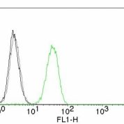 Flow Cytometry of human CD31 on Jurkat Cells. Black: Cells alone; Grey: Isotype Control; Green: Alexa Fluor® 488-labeled CD31 Monoclonal Antibody (C31.7).
