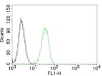 Flow Cytometry of human CD31 on Jurkat Cells. Black: Cells alone; Grey: Isotype Control; Green: Alexa Fluor® 488-labeled CD31 Monoclonal Antibody (C31.7).